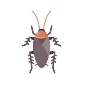 General pest control