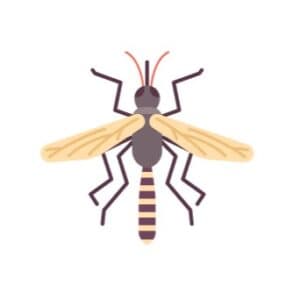 Mosquito control services